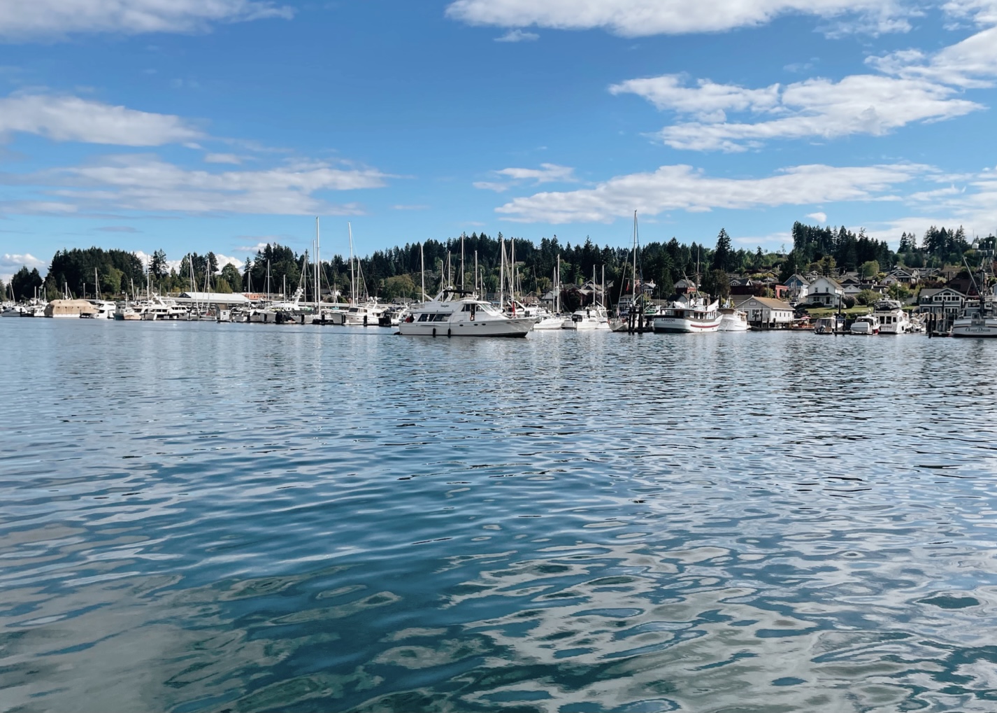 Gig Harbor Real Estate Gig Harbor Homes Mike and Mikayla Esteb