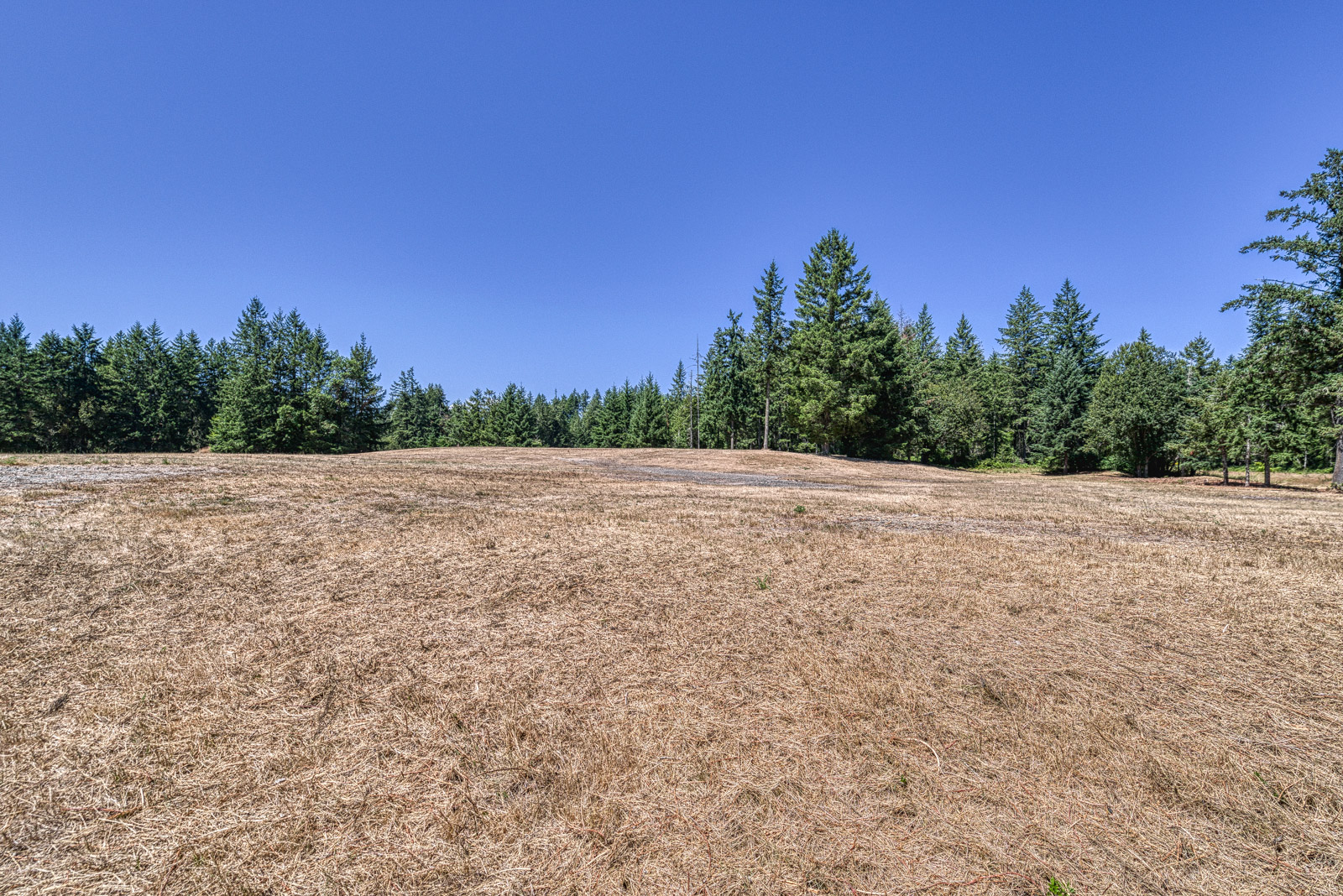 grassy acreage with trees in gig harbor